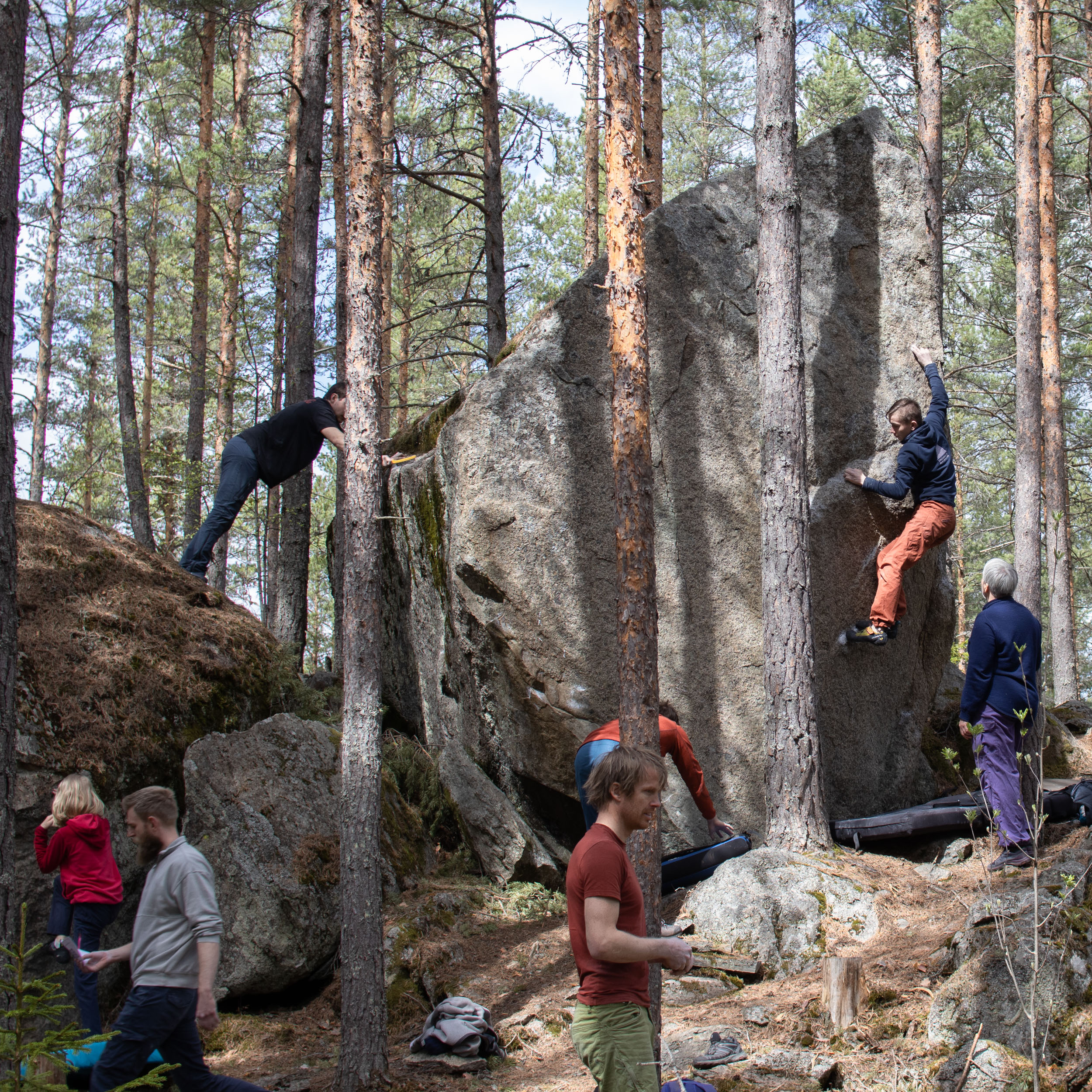 Unge Nornes klatrer Pusekatten (6A)